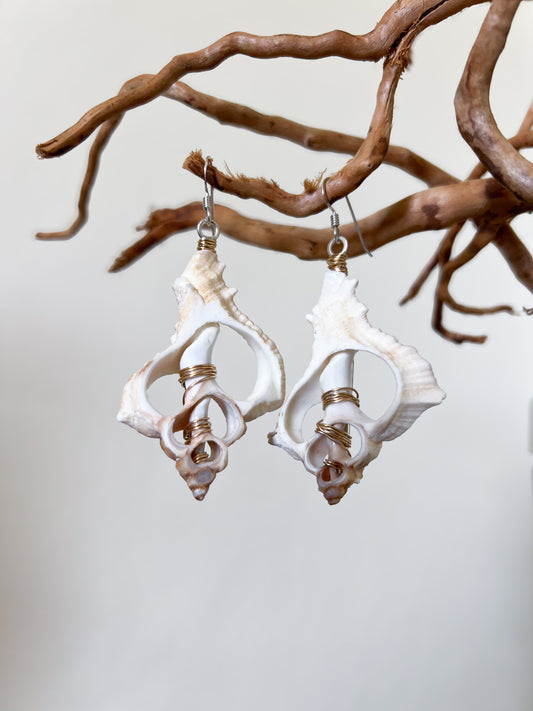 Skeleton Shell Earring - Verano 2024